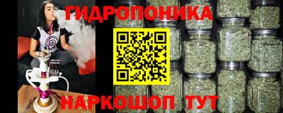 марихуана Краснознаменск