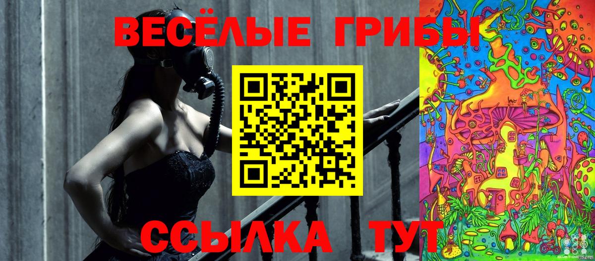 Йошкар-Ола  Псилоцибиновые грибы MAGIC MUSHROOMS  Вход с VPN 